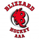 Structure_de_hockey_Blizzard_mai_2019_2.jpg