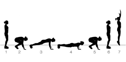 Burpee